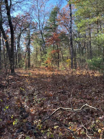 $59,900 | 8310 Thornapple Avenue, Newaygo, MI 49337