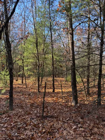 $59,900 | 8310 Thornapple Avenue, Newaygo, MI 49337