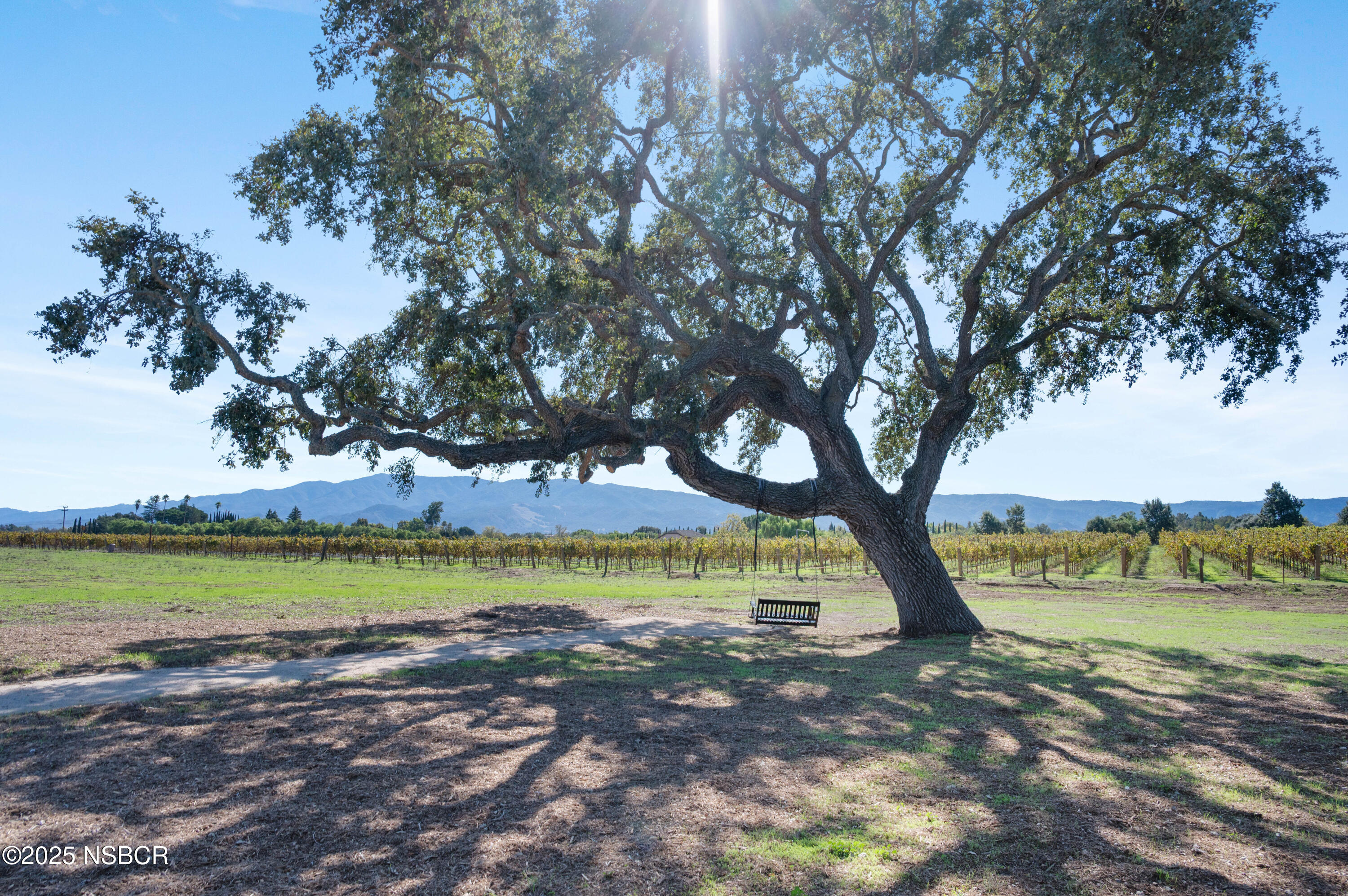 1645 Still Meadow Road Solvang, CA 93463 - Photo 42 of 59 Beautiful Oak