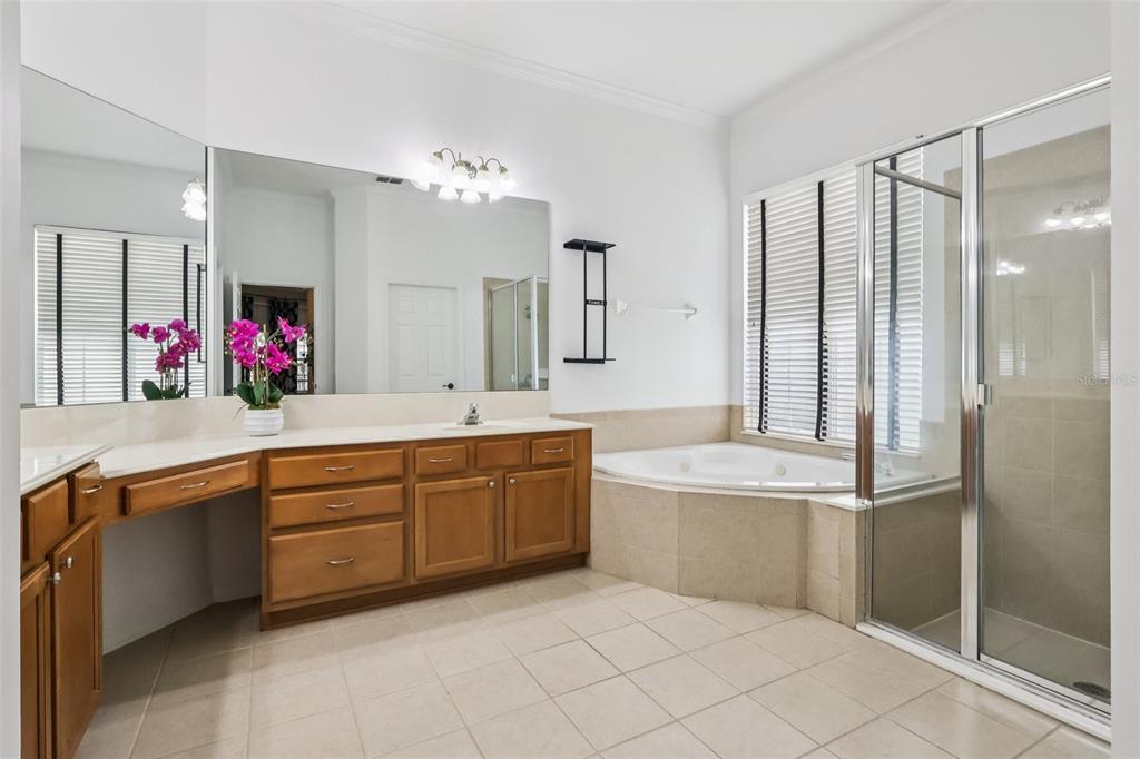 8350 Bowden Way Windermere, FL 34786 - Photo 28 of 45 a spacious bathroom with a granite countertop sink mirror and a bathtub