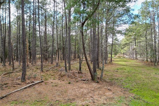Tbd 24.66-ac Tbd 24.66-ac Boyd Road Covington, LA 70435 - Photo 5 of 10