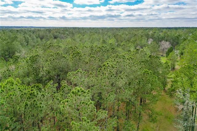 Tbd 24.66-ac Tbd 24.66-ac Boyd Road Covington, LA 70435 - Photo 6 of 10