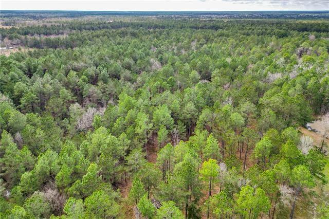 Tbd 24.66-ac Tbd 24.66-ac Boyd Road Covington, LA 70435 - Photo 9 of 10