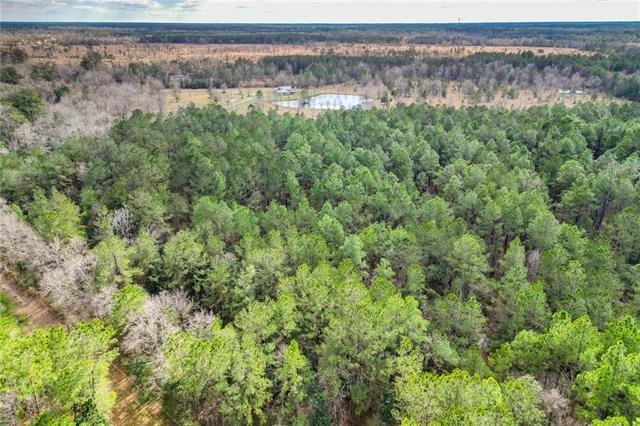 Tbd 24.66-ac Tbd 24.66-ac Boyd Road Covington, LA 70435 - Photo 10 of 10