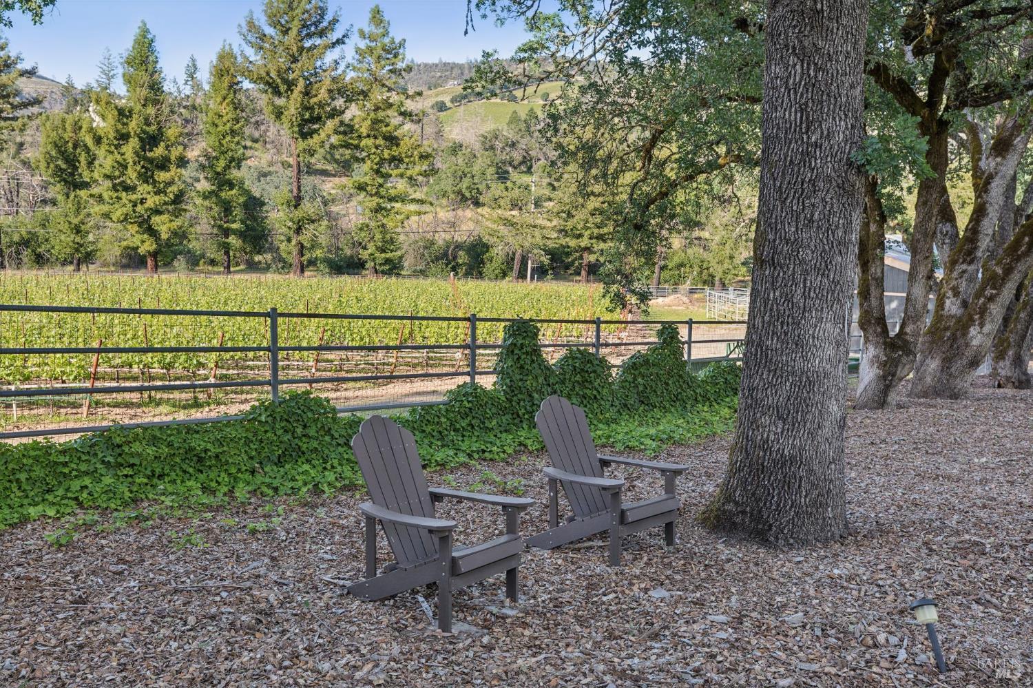 391 Crystal Springs Road St. Helena, CA 94574 - Photo 92 of 99