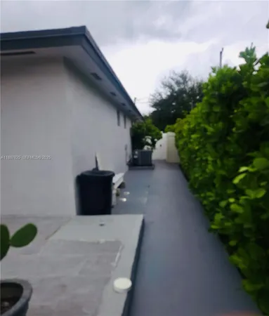 a view of a backyard with plants