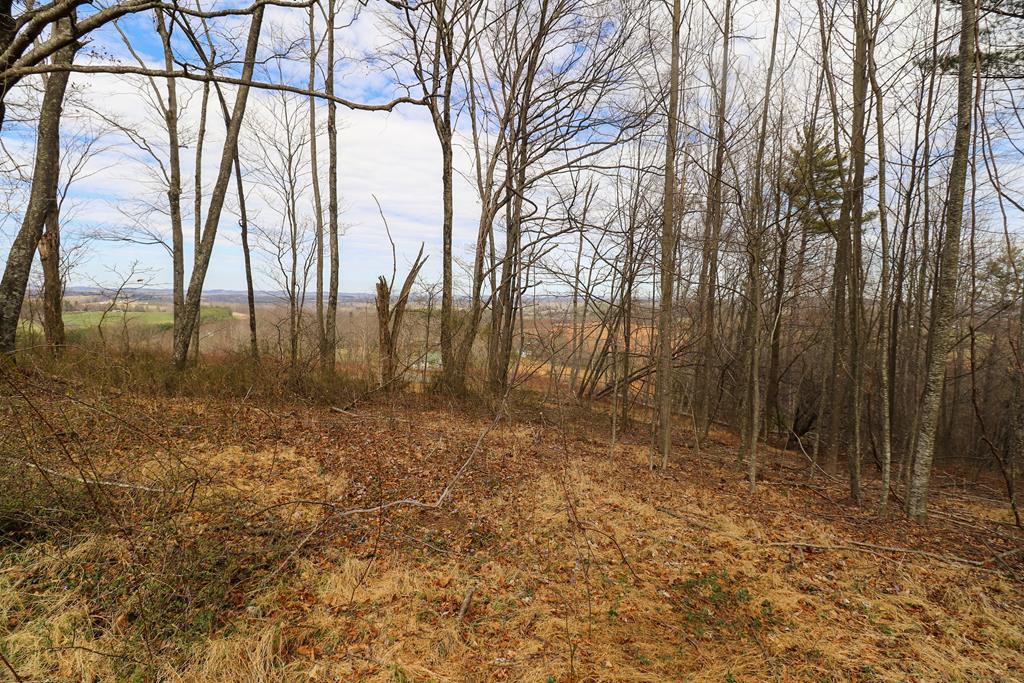 Tbd Tbd Keno Road, Unit 1 Laurel Fork, VA 24352 - Photo 7 of 20 Gallery Image 7
