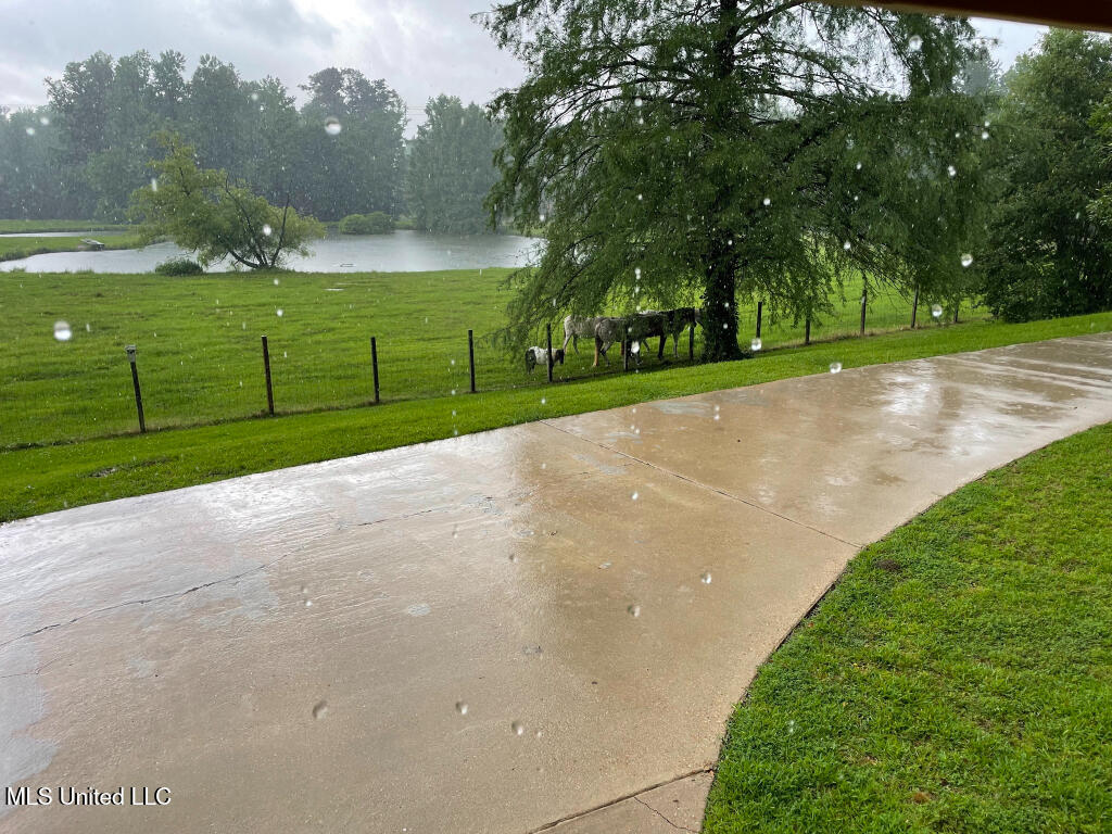 16785 Highway 503 Decatur, MS 39327 - Photo 25 of 42 25