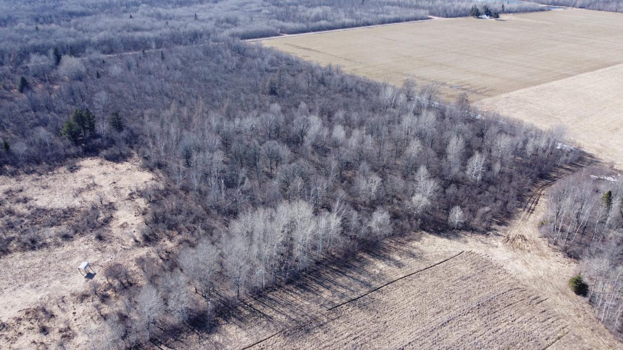 On Rangeline Road, Unit 35 ACRES Antigo, WI 54409 - Photo 2 of 16 Gallery Image 2