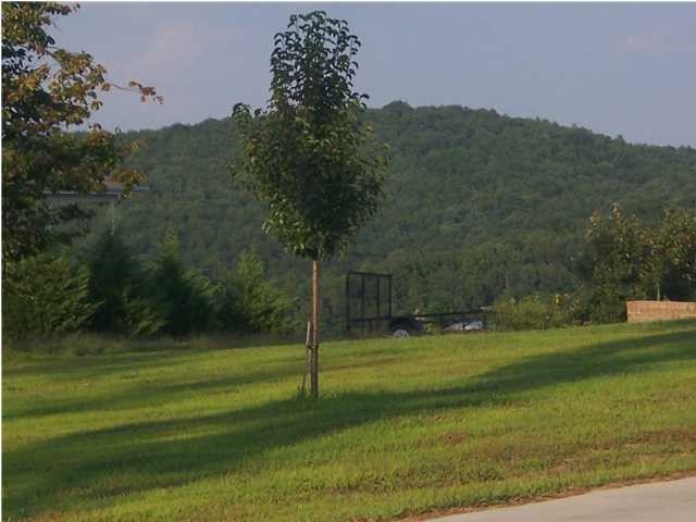 45 South Deer Run Road Trenton, GA 30752 - Photo 8 of 14