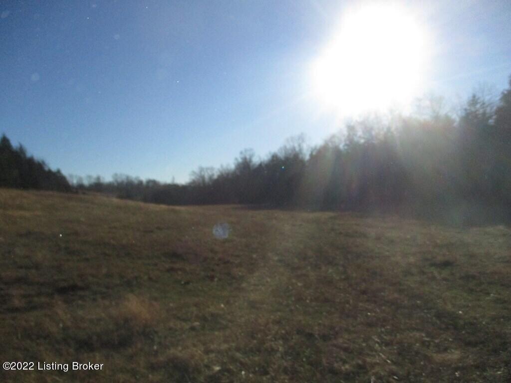 0 Freeman Road Hillsboro, KY 41049 - Photo 5 of 14 63