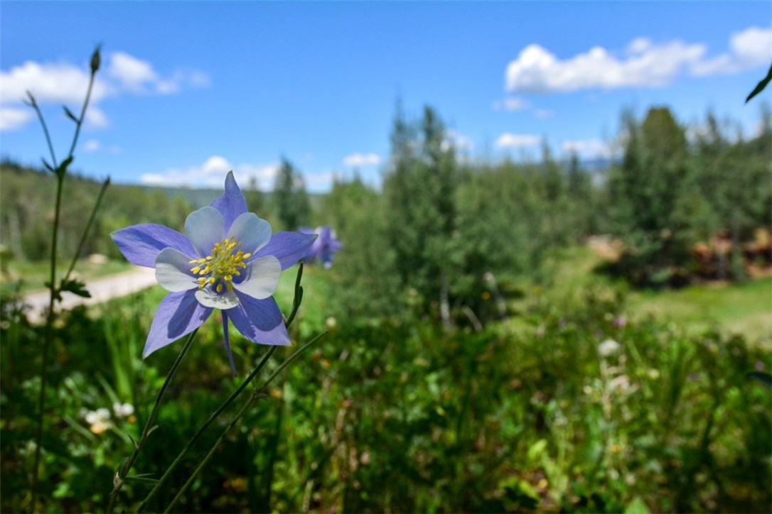 1815 Golden Eagle Road Silverthorne, CO 80498 - Photo 24 of 30 Gallery Image 24