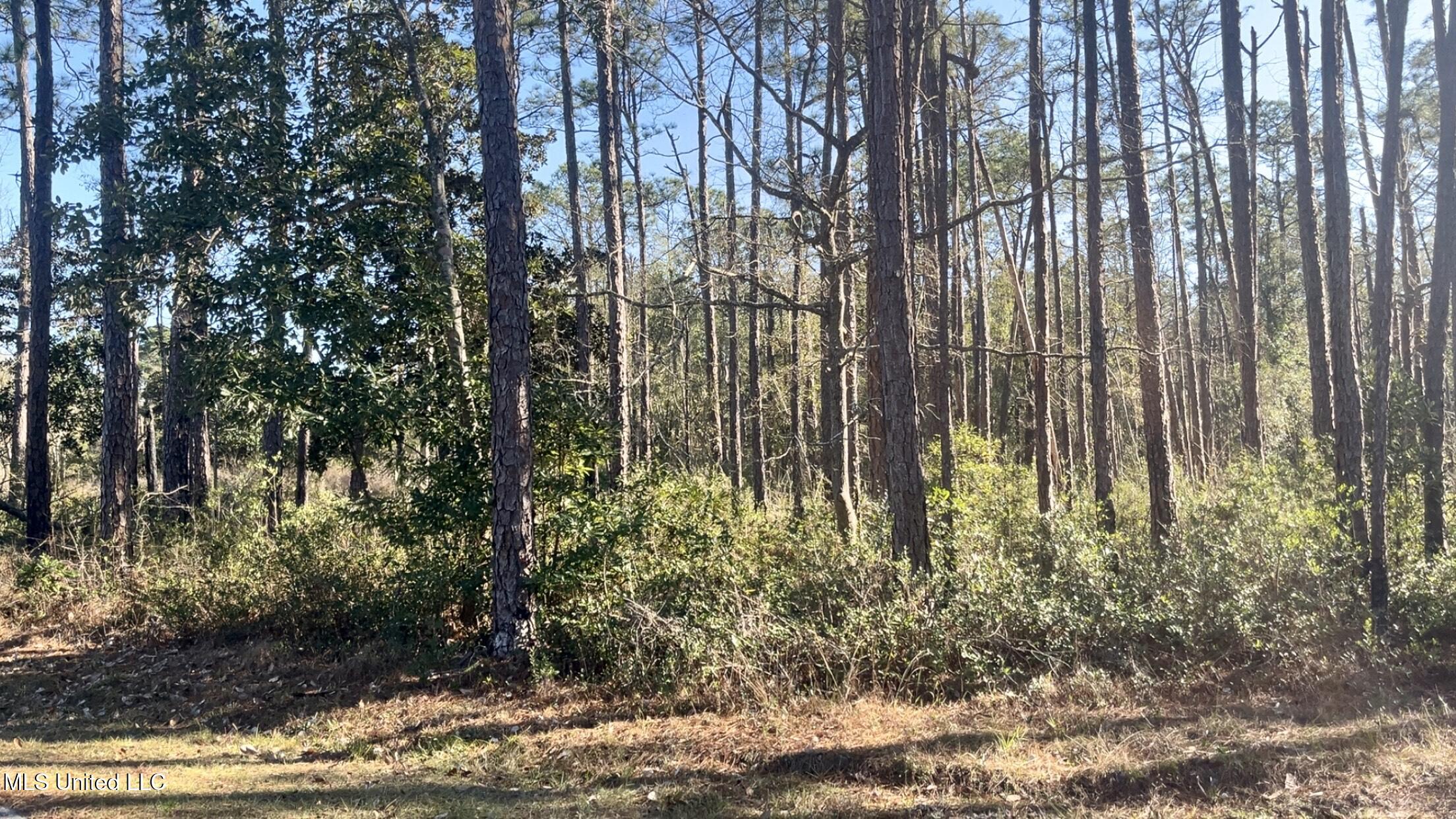 0 Beach Street Ocean Springs, MS 39564 - Photo 2 of 5 beach 2