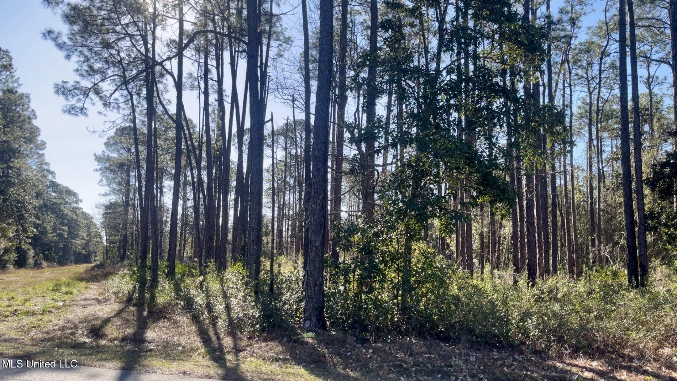 0 Beach Street Ocean Springs, MS 39564 - Photo 4 of 5 beach 4