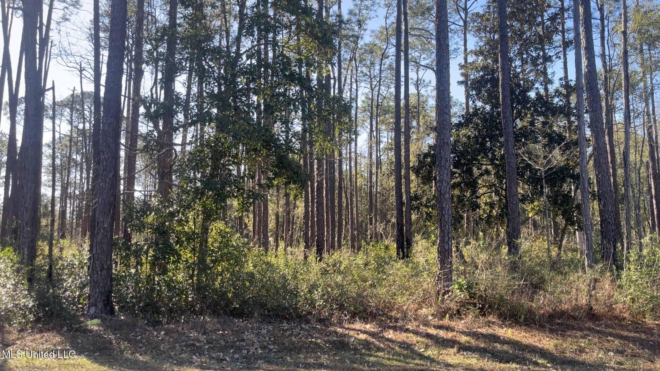 0 Beach Street Ocean Springs, MS 39564 - Photo 5 of 5 Beach 5