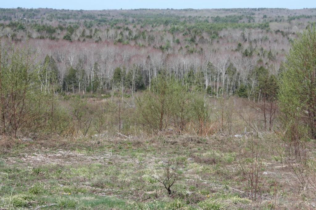 81 Shepard Hill Road Union, ME 04862 - Photo 2 of 2 66+/- acres