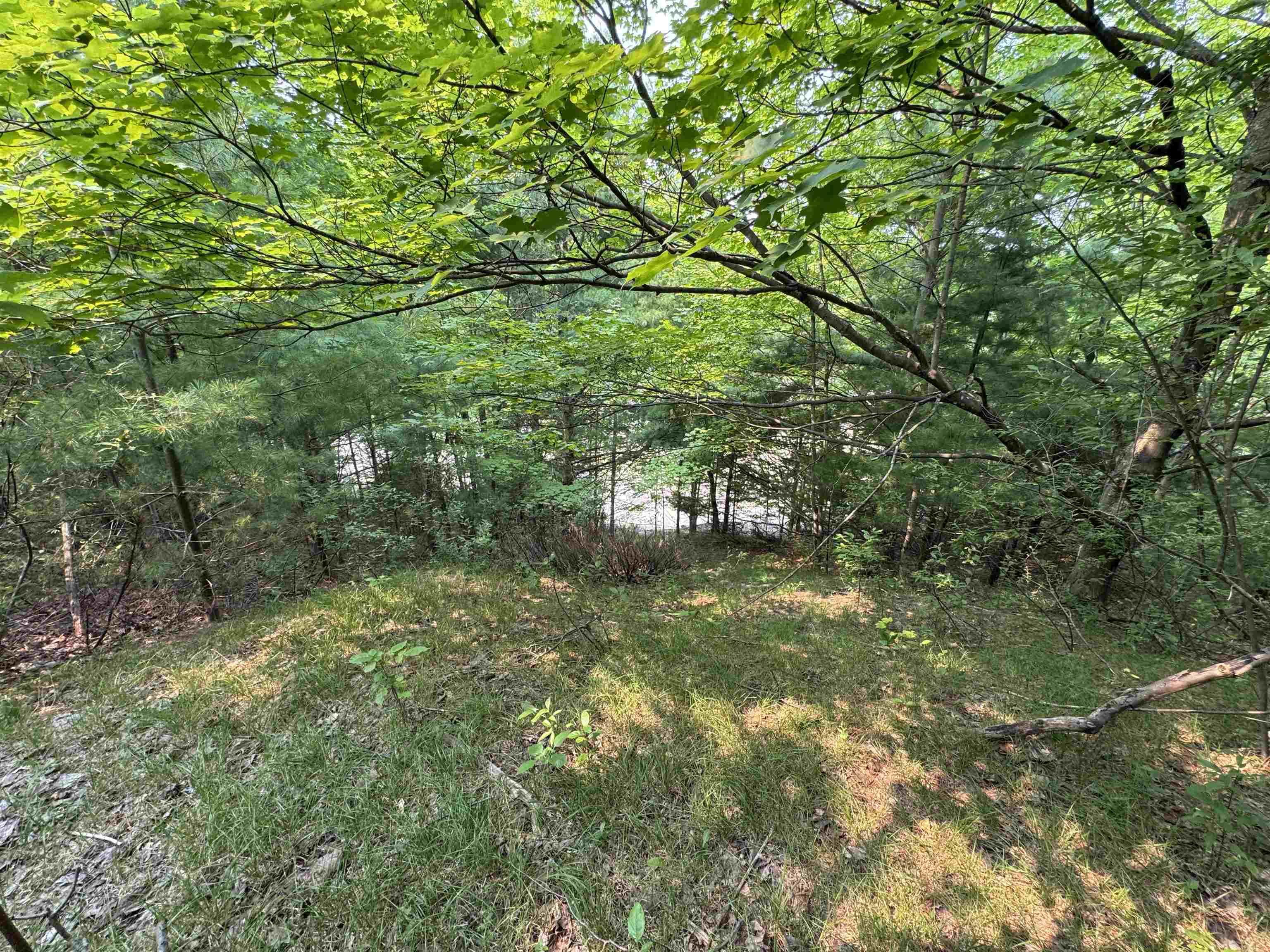 Lot #1 East Bellinger Road, Unit BELLINGER ESTATES #1 LOT: Cedar, MI 49621 - Photo 6 of 14