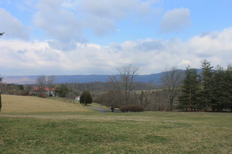 593 Herring Hall Road Natural Bridge, VA 24578 - Photo 9 of 9 IMG_6183 (800x533)