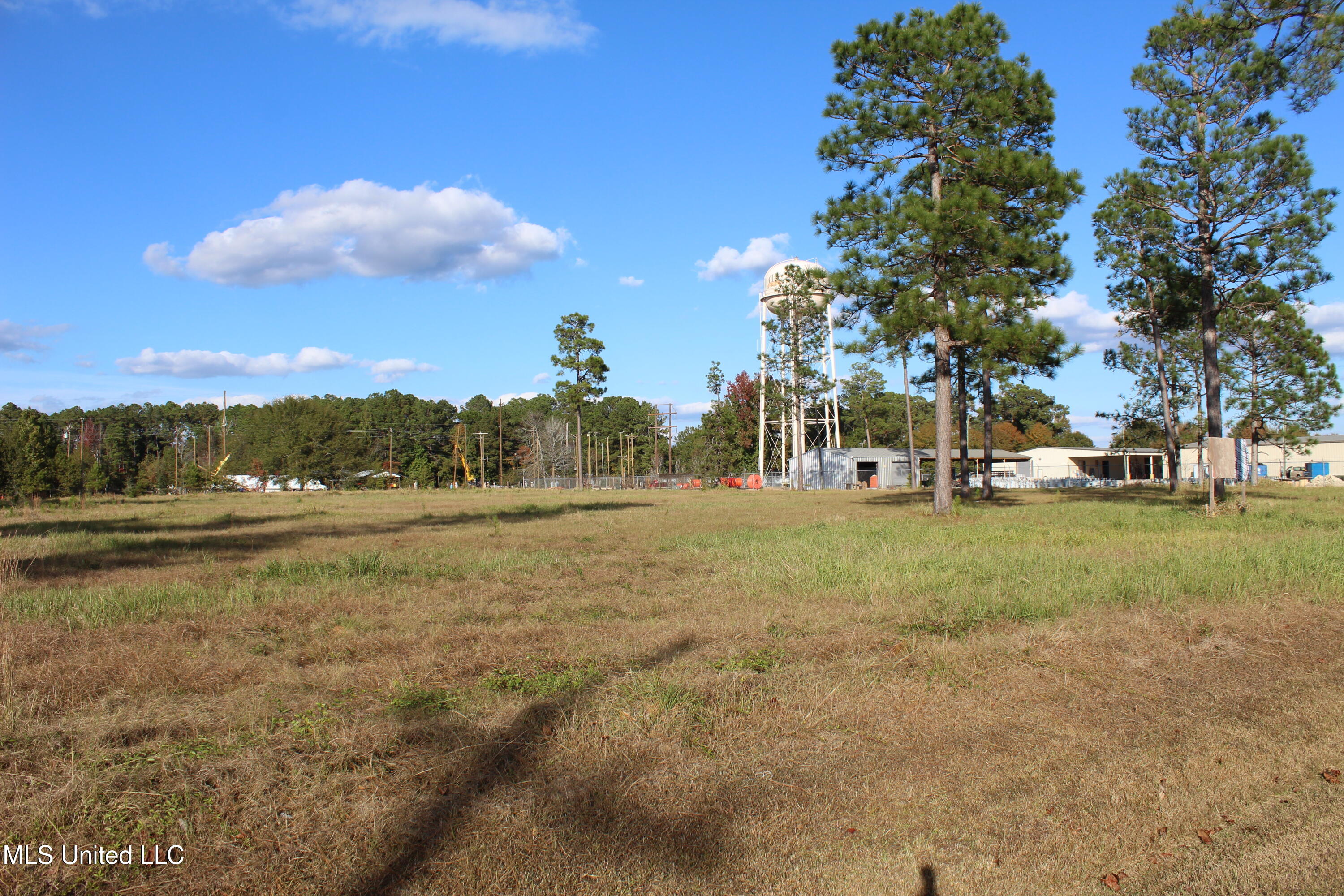 3.5-acres Scott Road Lucedale, MS 39452 - Photo 3 of 6 IMG_9955