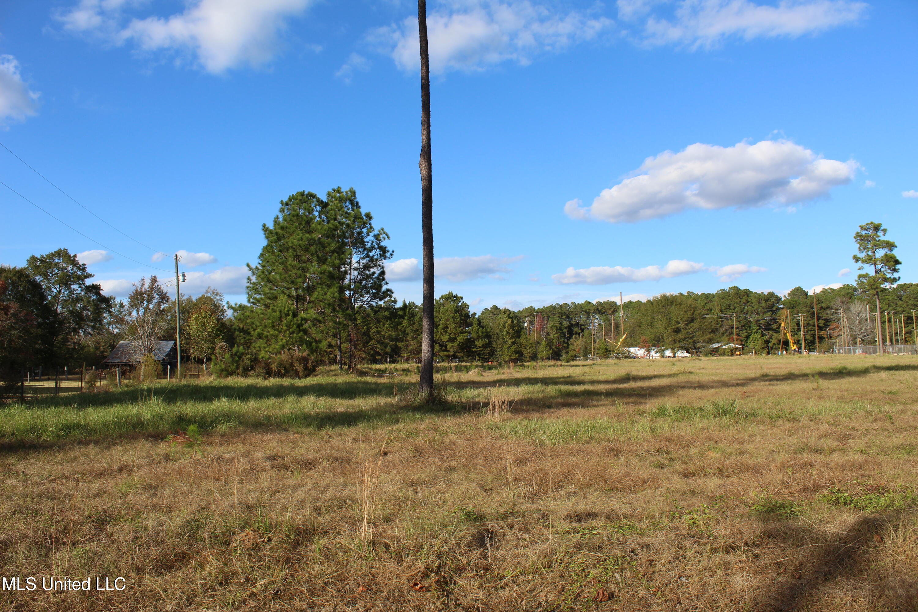 3.5-acres Scott Road Lucedale, MS 39452 - Photo 4 of 6 IMG_9953