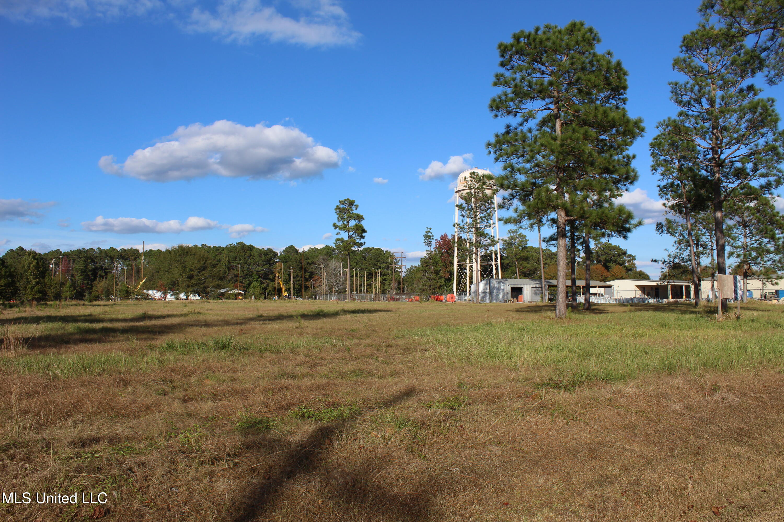 3.5-acres Scott Road Lucedale, MS 39452 - Photo 5 of 6 IMG_9956
