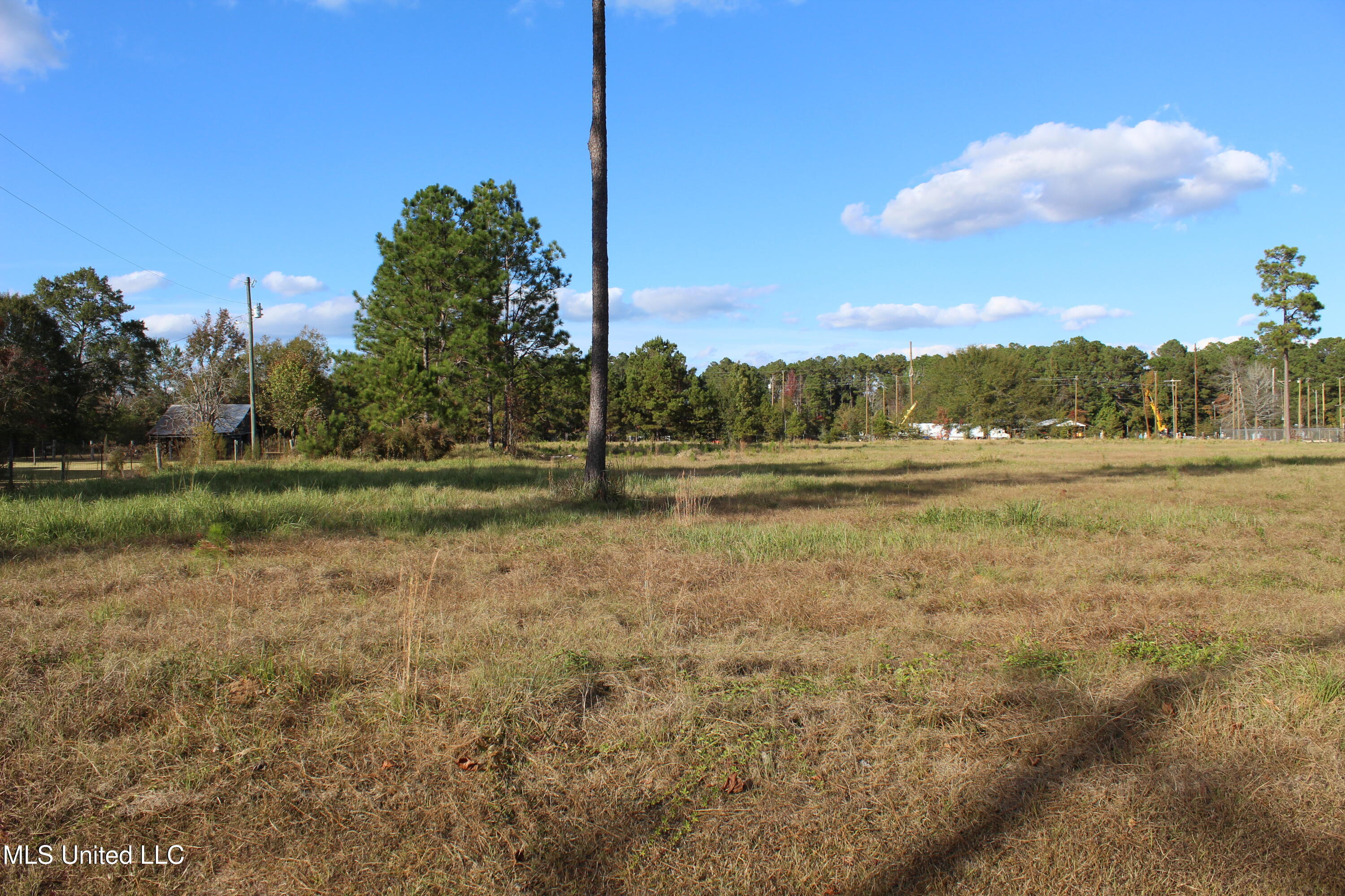 3.5-acres Scott Road Lucedale, MS 39452 - Photo 6 of 6 IMG_9957