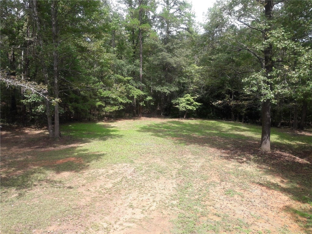 1498 Ben Brown Road Valley, AL 36854 - Photo 19 of 24 Gallery Image 19