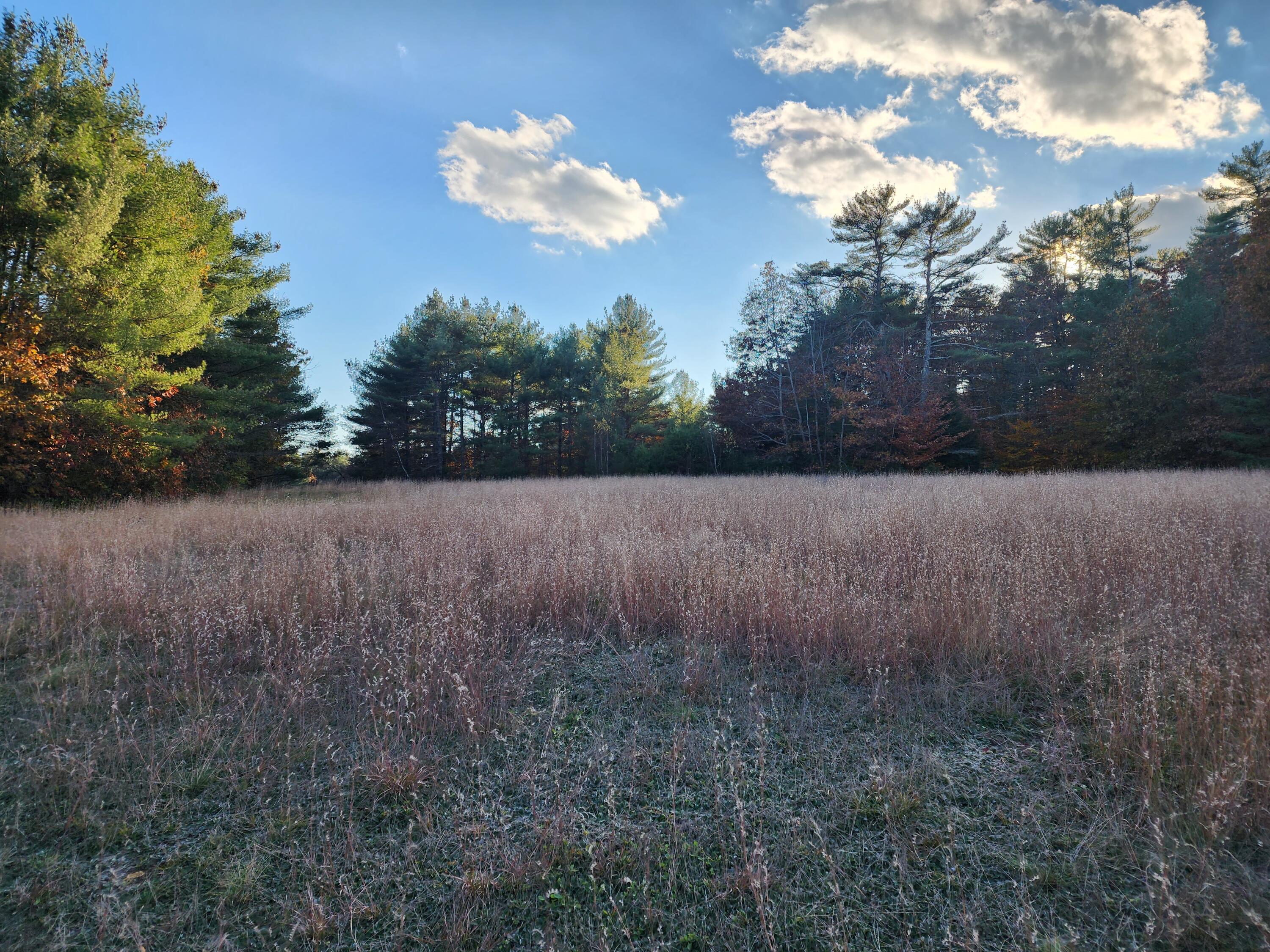 Lot 10 Raymond Cape Road Casco, ME 04015 - Photo 20 of 24 20231105_150815