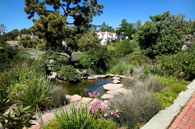 1021 Las Alturas Road Santa Barbara, CA 93103 - Photo 17 of 20 a view of a lake with a tree