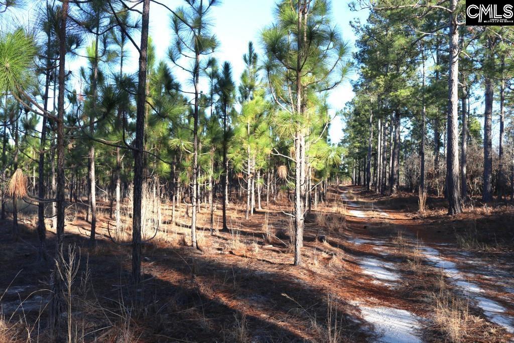 Holstein Road Wagener, SC 29164 - Photo 10 of 26