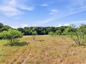 3815 Wills Point Wills Point, TX 75169 - Photo 14 of 19 Open field located at the north end of the property