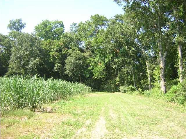 Belmont Road New Iberia, LA 70563 - Photo 1 of 4 Primary Photo
