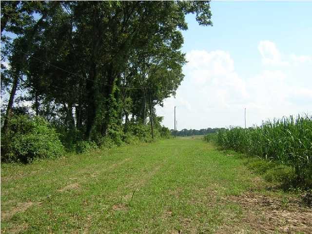 Belmont Road New Iberia, LA 70563 - Photo 2 of 4 Additional Photo