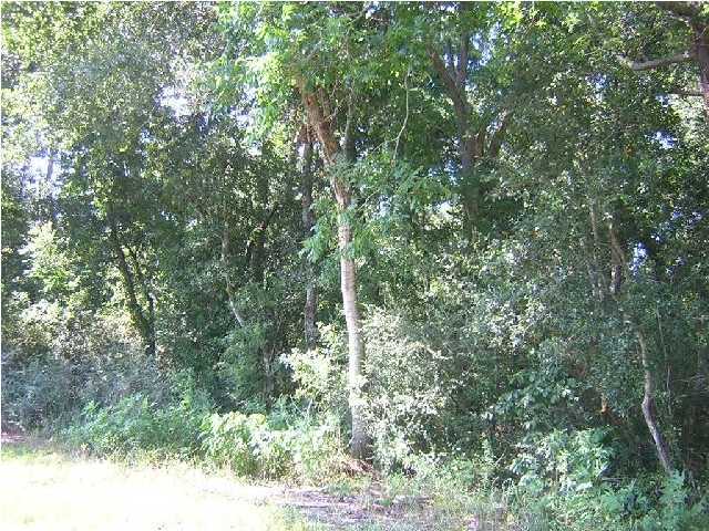 Belmont Road New Iberia, LA 70563 - Photo 3 of 4 Additional Photo