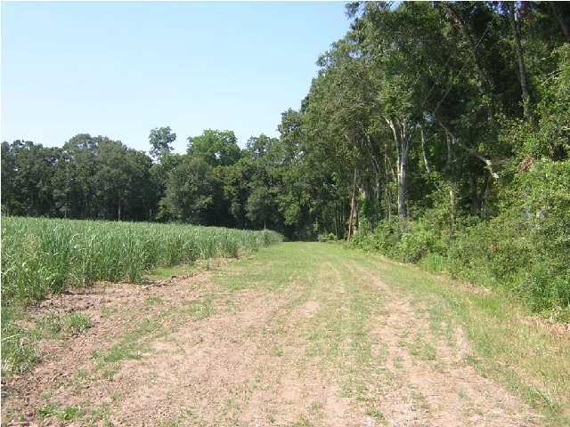 Belmont Road New Iberia, LA 70563 - Photo 4 of 4 Additional Photo