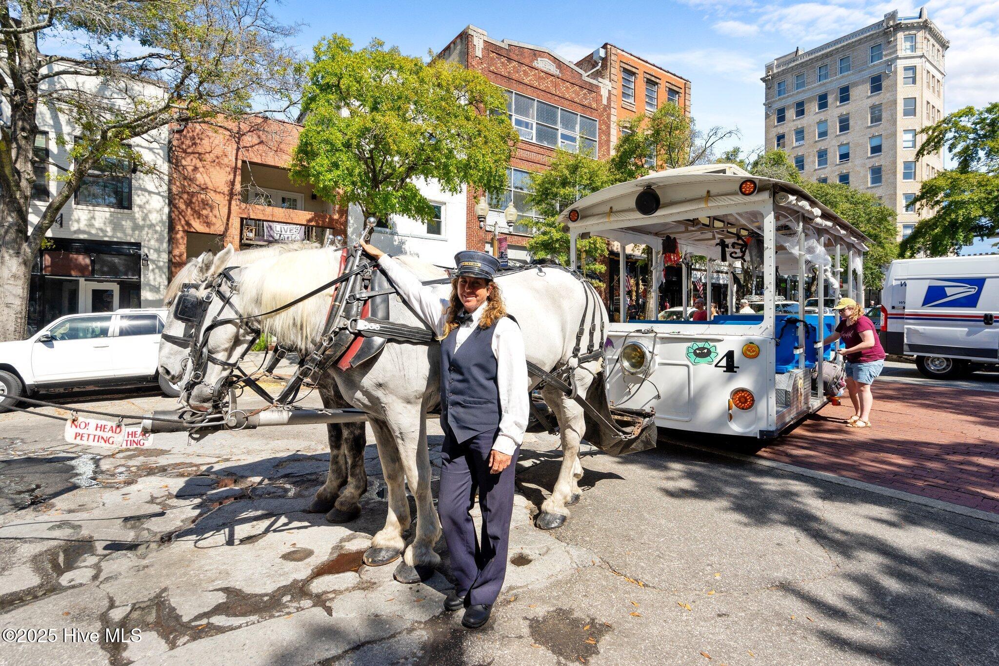21 North Front Street, Unit 3B1 Wilmington, NC 28401 - Photo 29 of 30 29-horse_carriage
