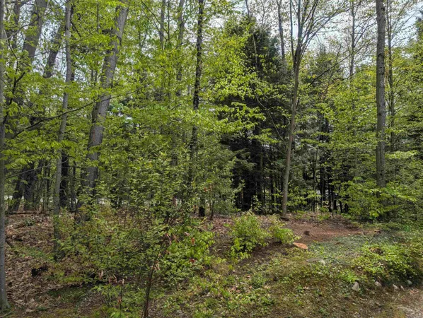 $534,500 | 11 Cascade Drive, Unit 288, North Woodstock, NH 03262