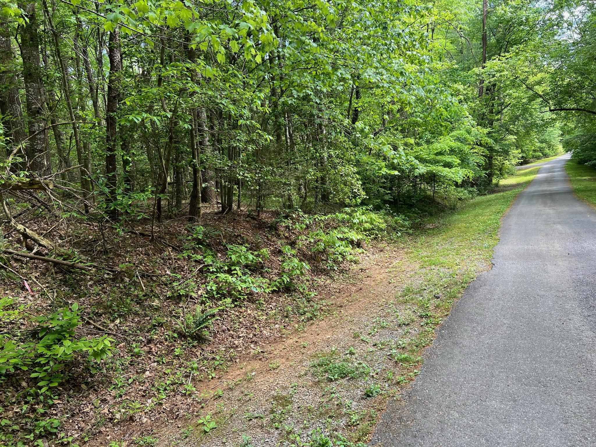 a big yard with lots of green space and deers