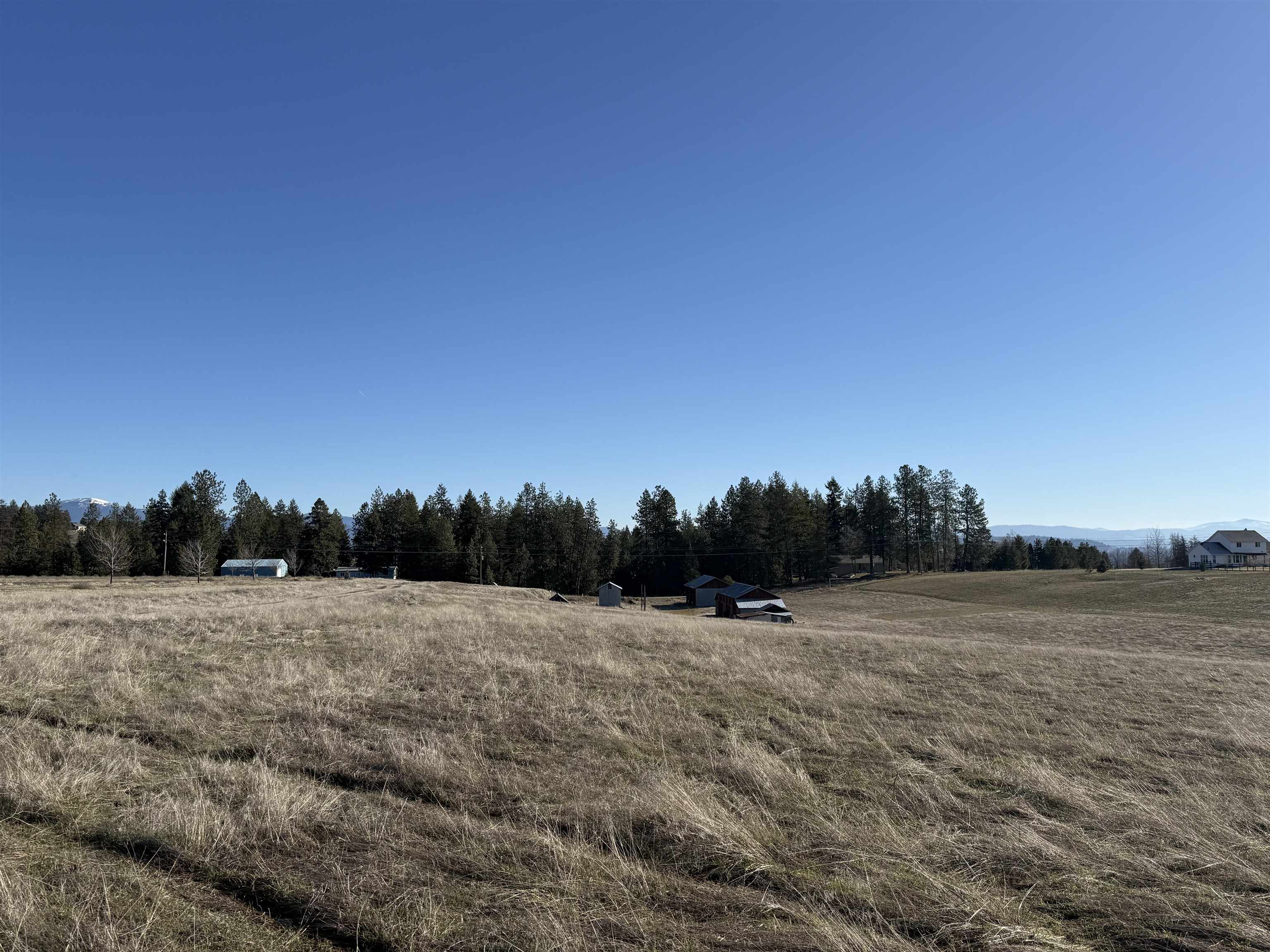 21200 North Division Road Colbert, WA 99005 - Photo 6 of 8