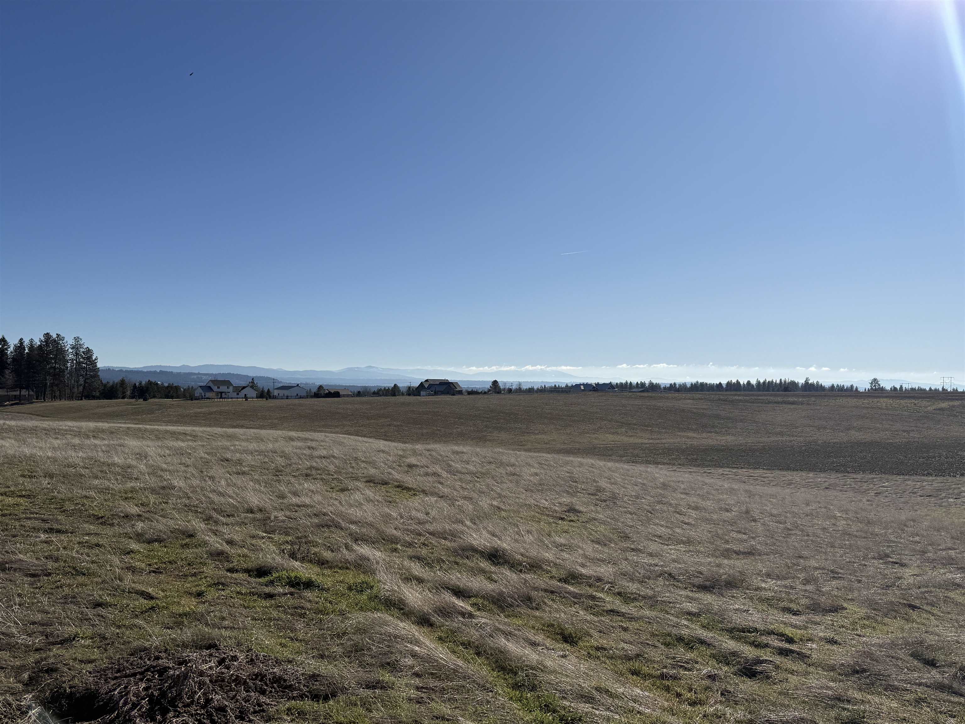 21200 North Division Road Colbert, WA 99005 - Photo 7 of 8