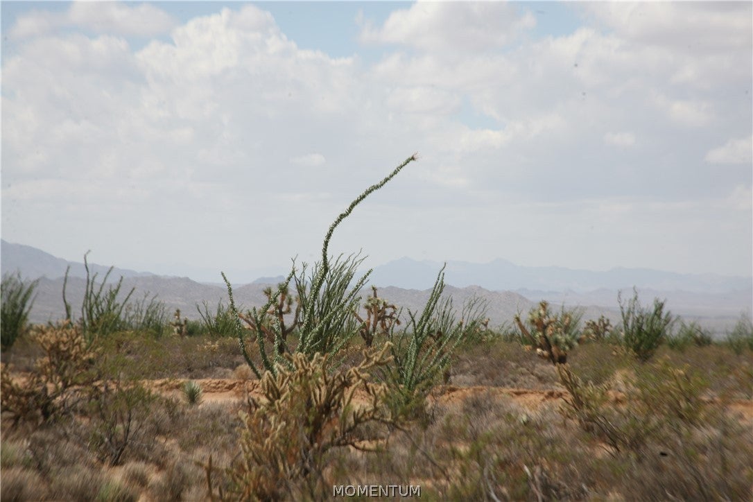 016 South Gene Autry Road Yucca, AZ 86438 - Photo 30 of 38 Gallery Image 30