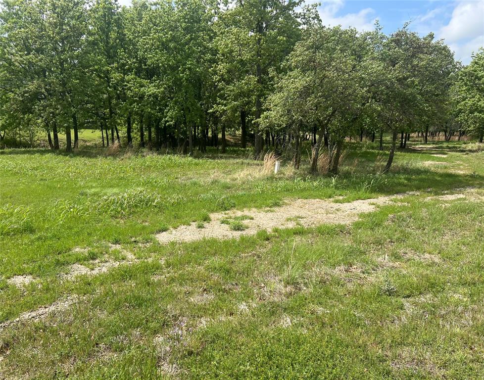 a view of outdoor space with green field and trees