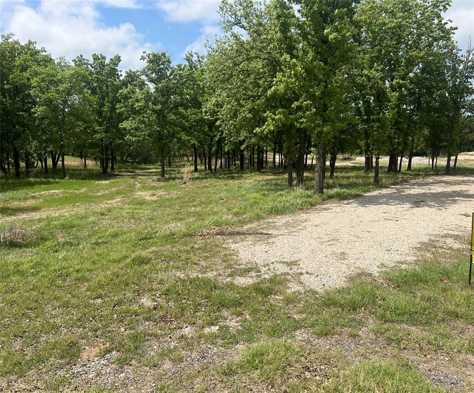 268 Falcon Drive Weatherford, TX 76088 - Photo 3 of 4 a view of a trees with a yard