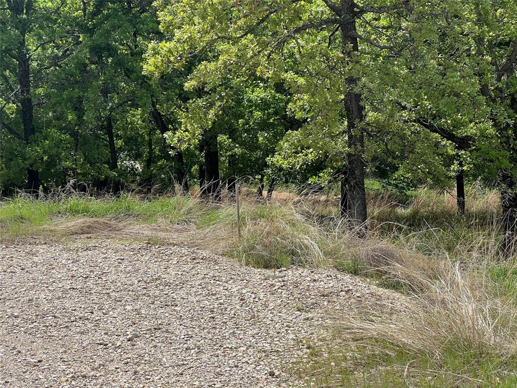 268 Falcon Drive Weatherford, TX 76088 - Photo 4 of 4 a big yard with lots of green space and trees