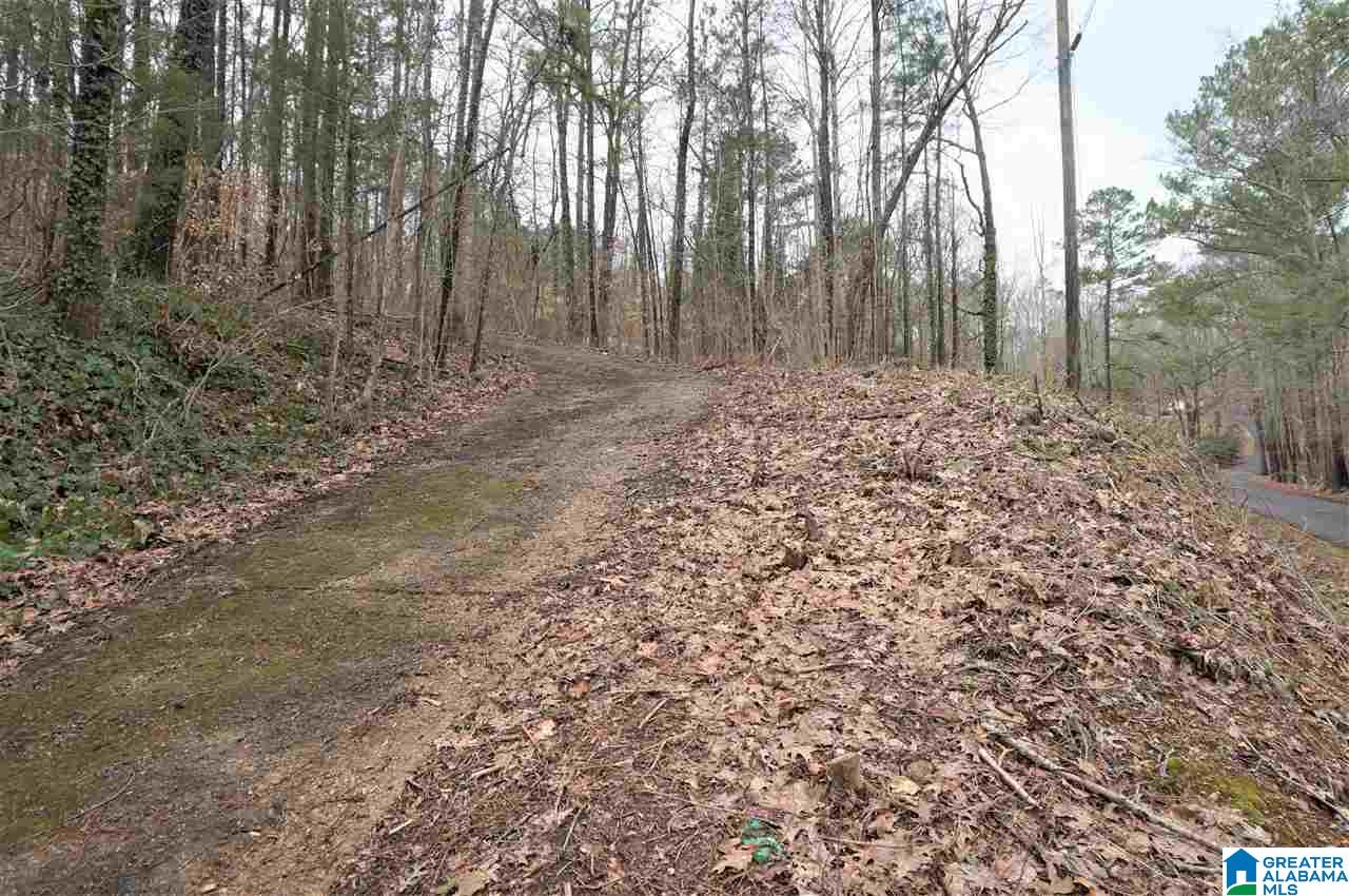 8191 Advent Cutoff Road, Unit 2 97 ACRES Trussville, AL 35173 - Photo 5 of 10