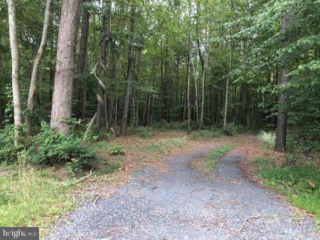 9315 Libertytown Road Berlin, MD 21811 - Photo 1 of 3