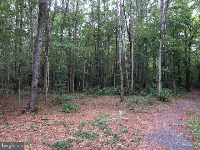 9315 Libertytown Road Berlin, MD 21811 - Photo 3 of 3