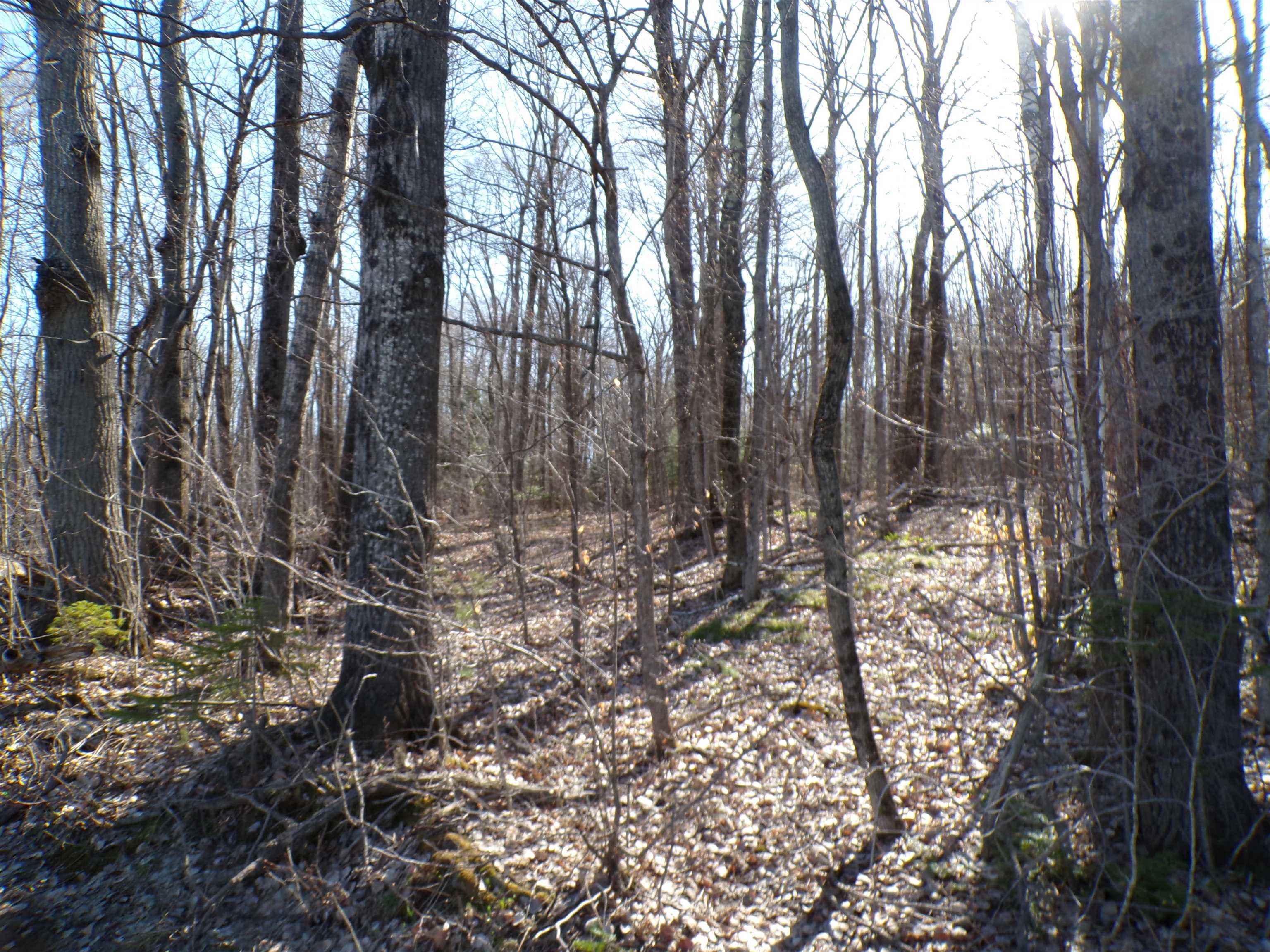 440 Baird Road Barton, VT 05822 - Photo 8 of 11