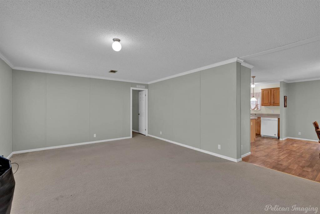 62 Princeton Lane Princeton, LA 71067 - Photo 14 of 33 Unfurnished living room with ornamental molding, light carpet, and a textured ceiling