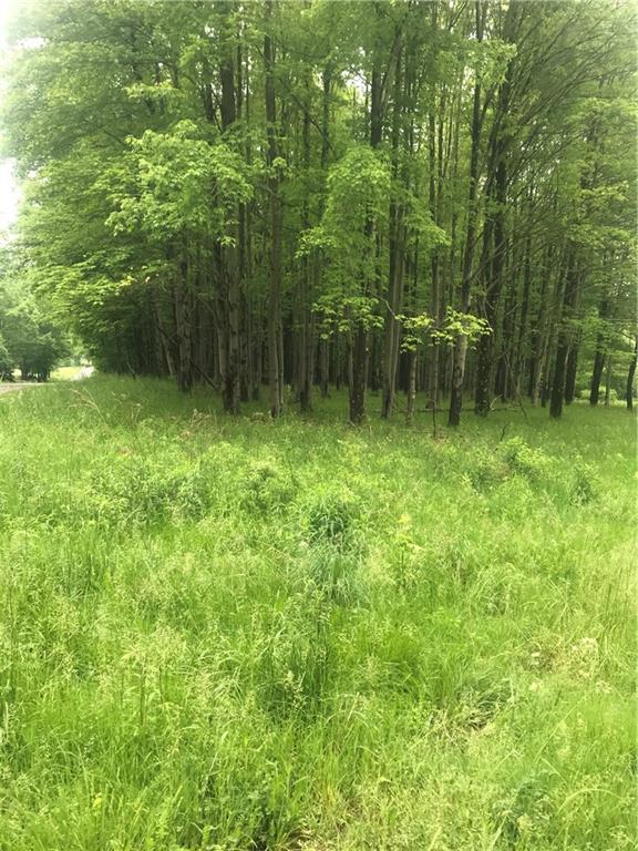 241 Ramsey Road Sandy Lake, PA 16145 - Photo 2 of 4